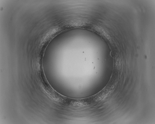 X0000072980635200608041244