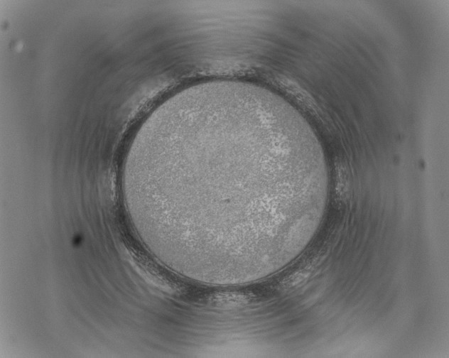 X0000072980636200608041244