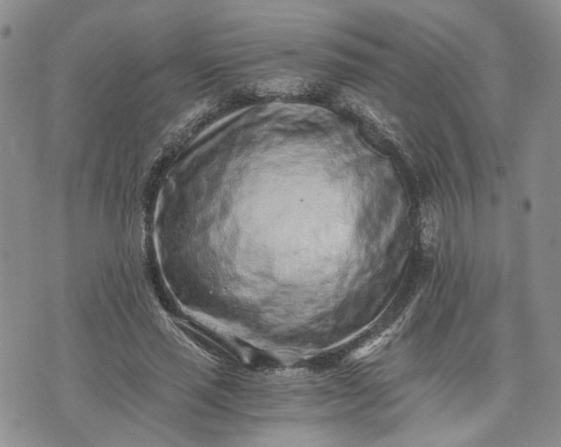 X0000072980637200608041244