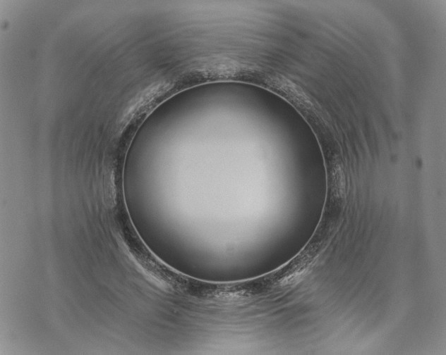 X0000072980638200608041244