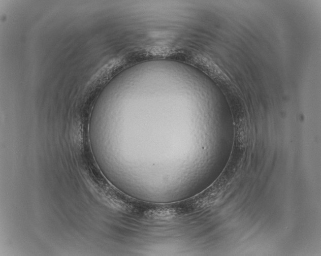 X0000072980639200608041244