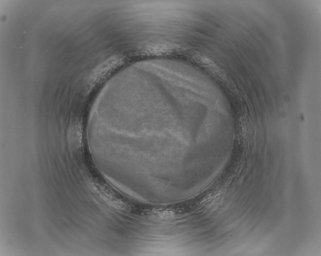 X0000072980640200608041244