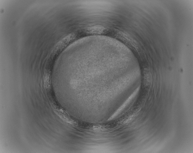 X0000072980641200608041244