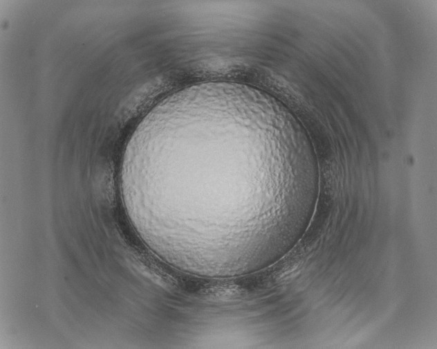 X0000072980642200608041244