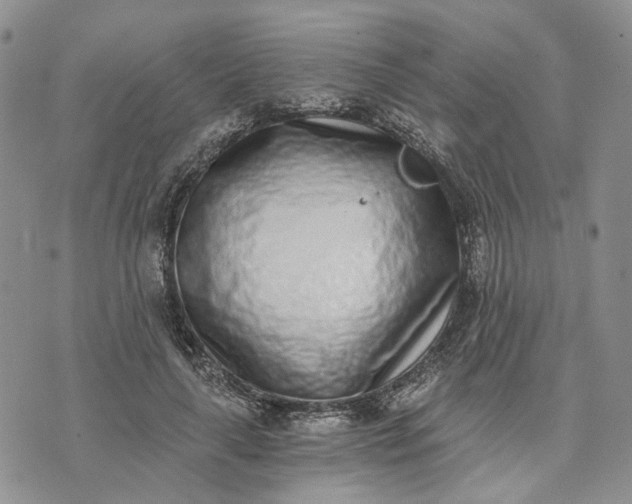 X0000072980643200608041244