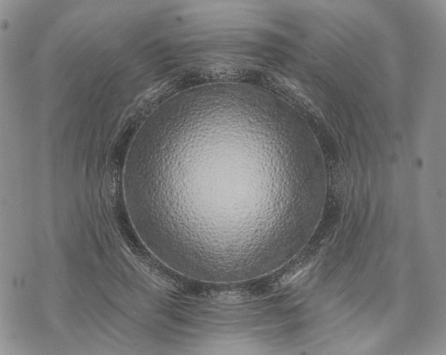 X0000072980645200608041244