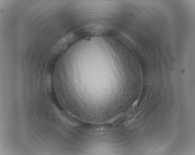 X0000072980646200608041244