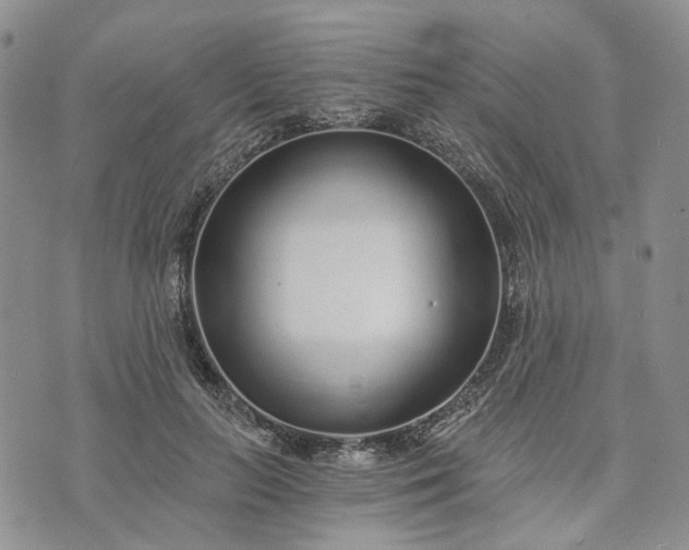 X0000072980647200608041244