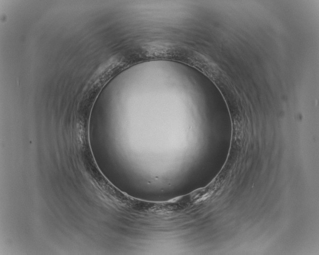 X0000072980648200608041244