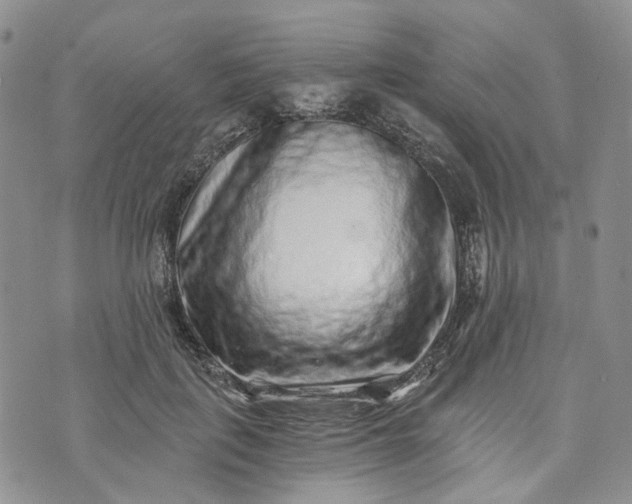 X0000072980651200608041244