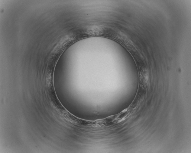 X0000072980652200608041244