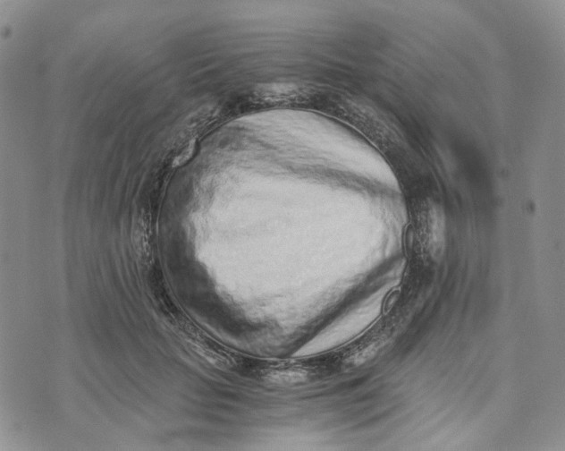 X0000072980653200608041244