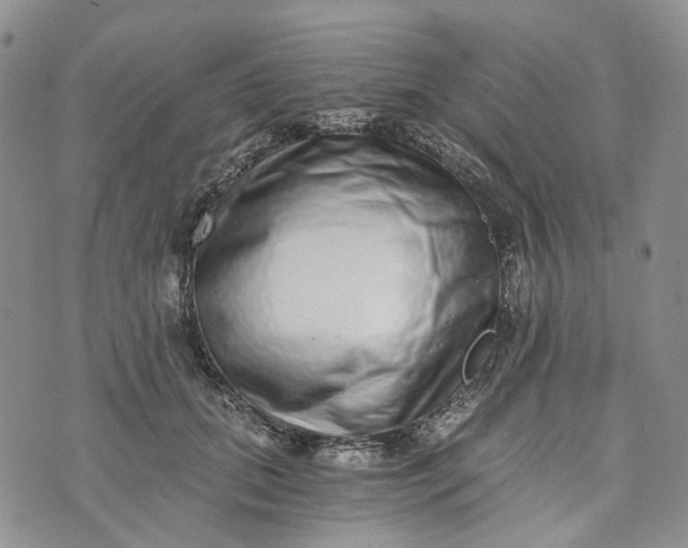 X0000072980655200608041244