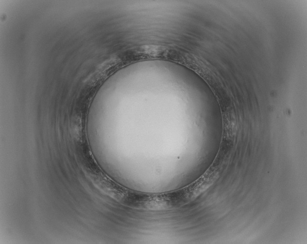 X0000072980656200608041244