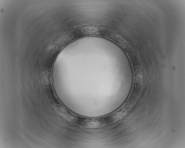 X0000072980658200608041244