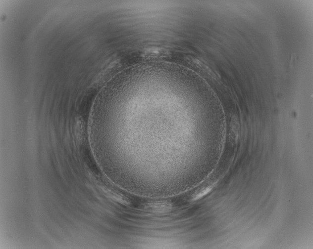 X0000072980659200608041244