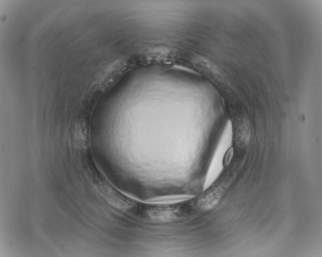 X0000072980661200608041244