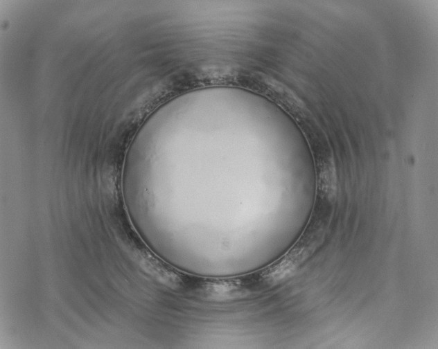 X0000072980662200608041244