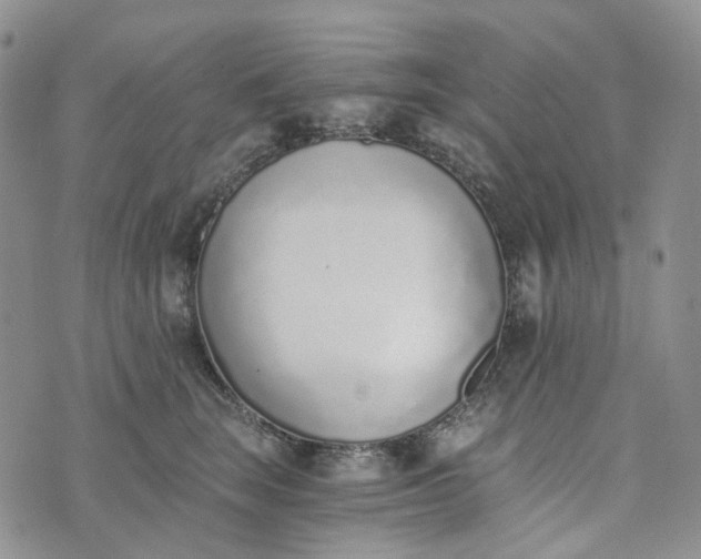 X0000072980663200608041244