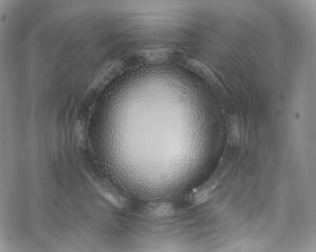 X0000072980667200608041244