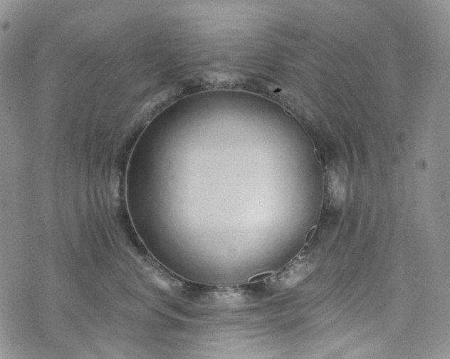 X0000072980668200608041244