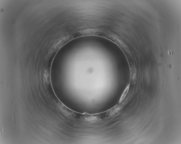 X0000072980669200608041244