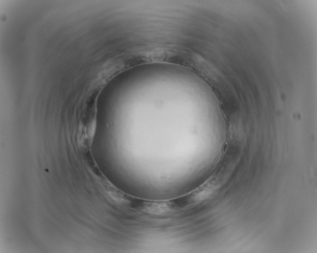 X0000072980671200608041244