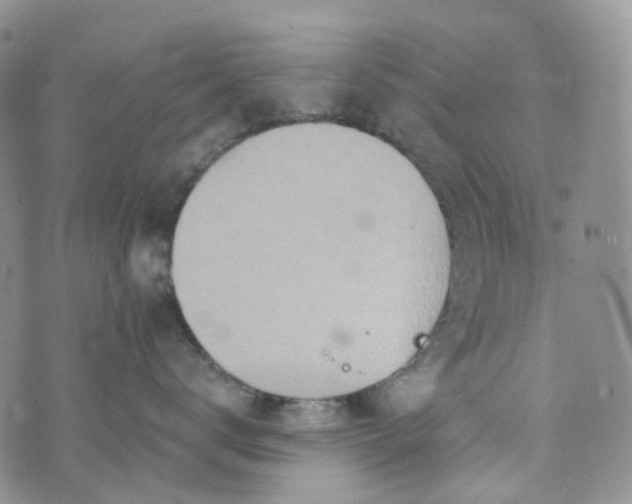 X0000072980672200608041244