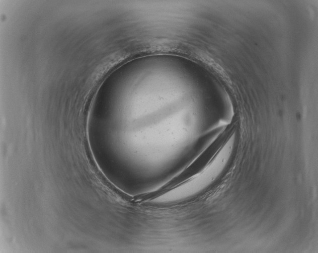 X0000072980673200608041244