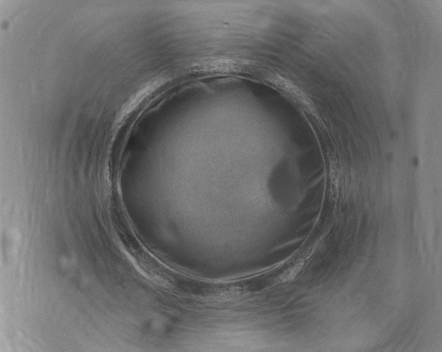 X0000072980674200608041244