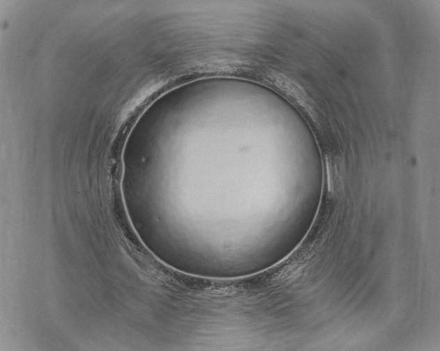 X0000072980675200608041244