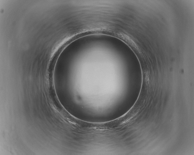 X0000072980676200608041244