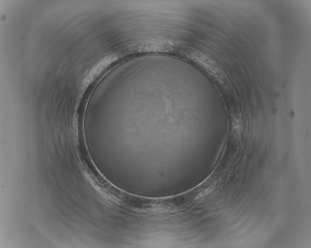 X0000072980678200608041244