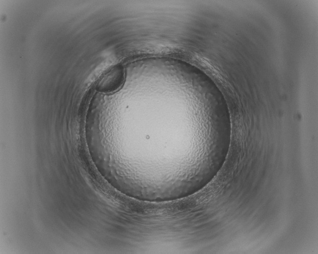 X0000072980679200608041244