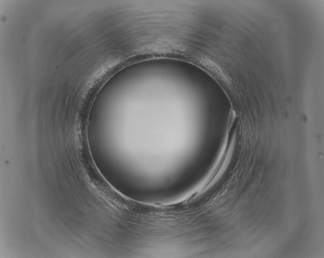 X0000072980680200608041244