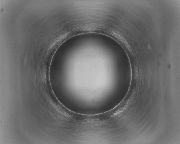 X0000072980681200608041244