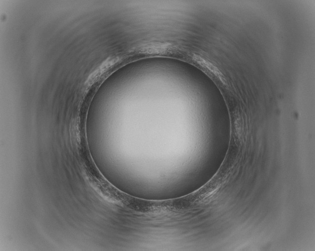 X0000072980682200608041244