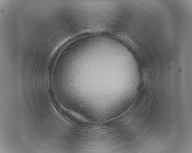 X0000072980684200608041243