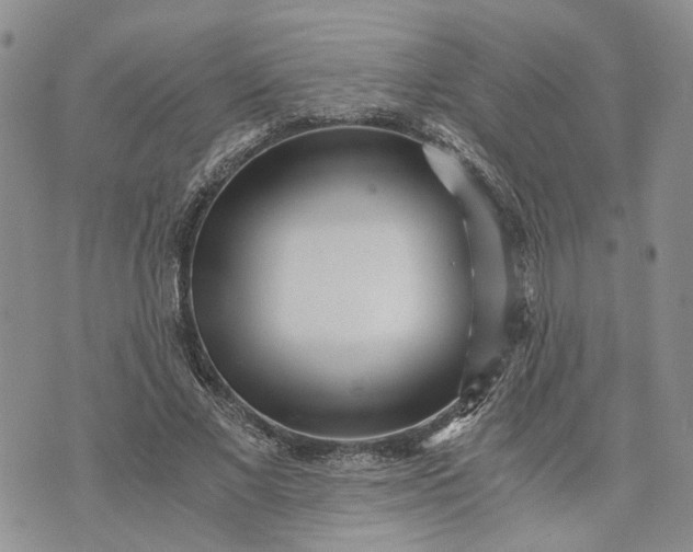 X0000072980685200608041243