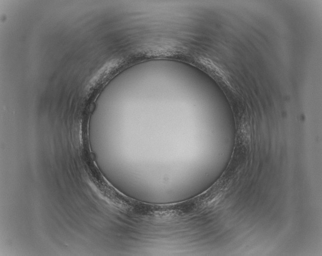 X0000072980686200608041243