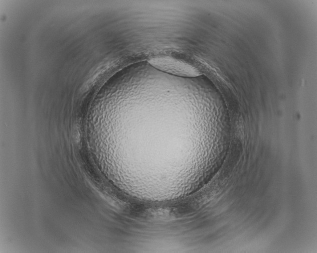 X0000072980687200608041243