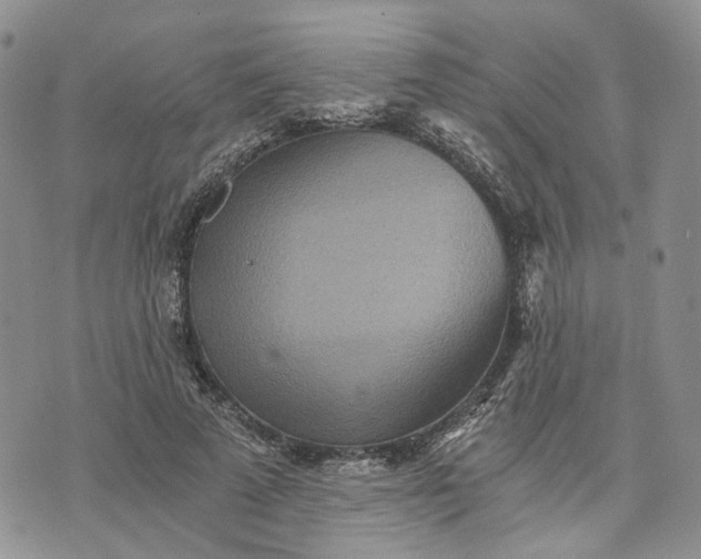 X0000072980689200608041243