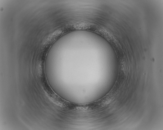 X0000072980690200608041243