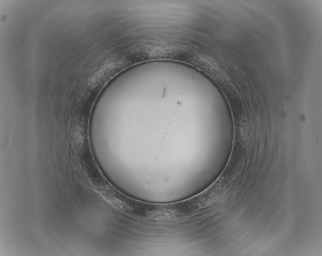 X0000072980691200608041243