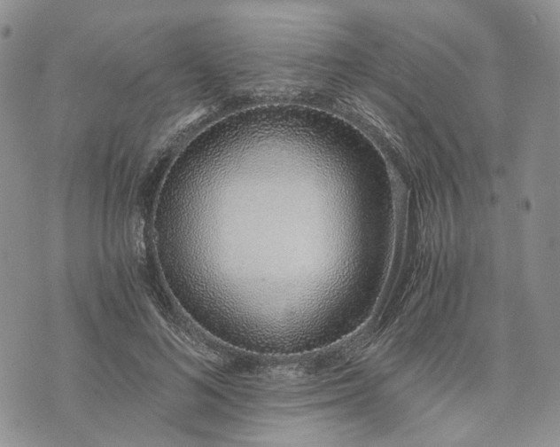 X0000072980692200608041243