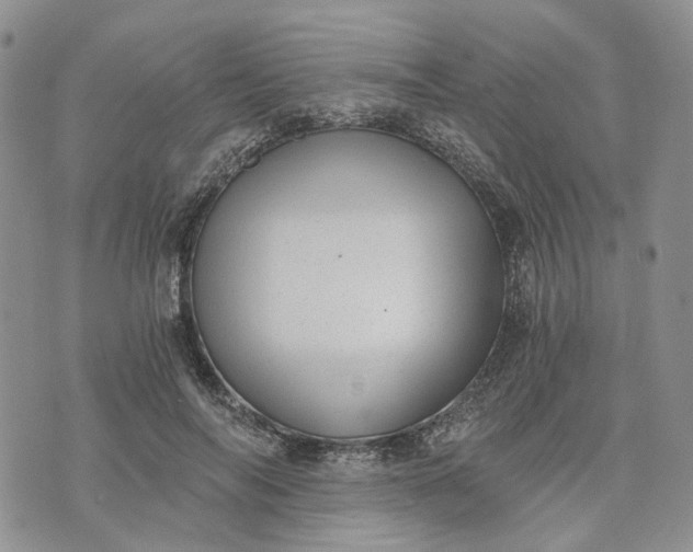 X0000072980694200608041243