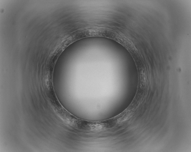 X0000072980698200608041243