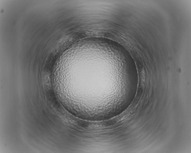 X0000072980699200608041243