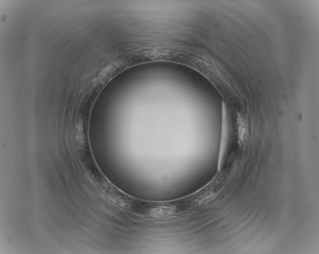 X0000072980700200608041243