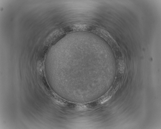 X0000072980701200608041243